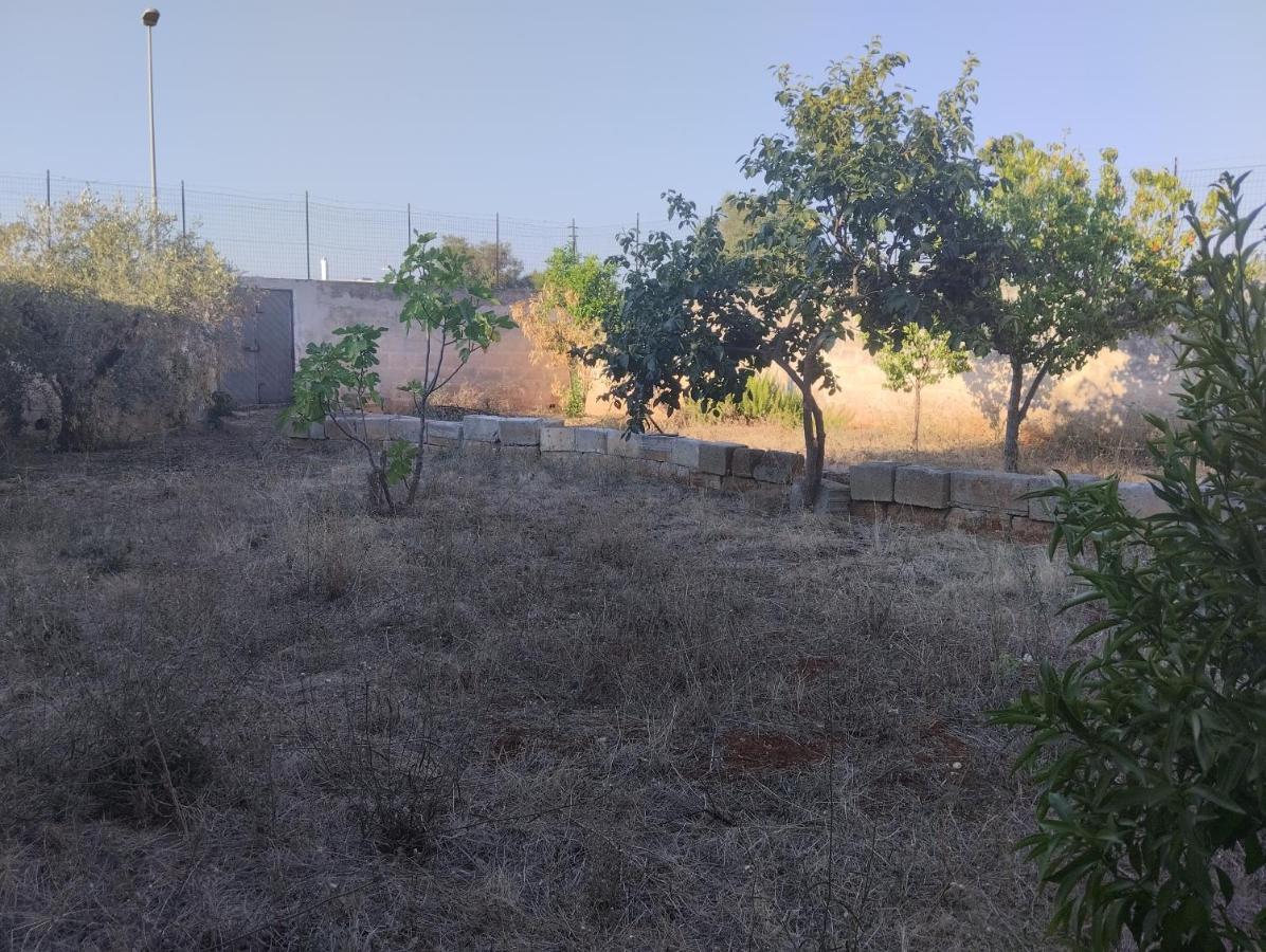 Favolosa Casa Con Terrazza, Idromassaggio, Cortile E Garage Auto Carovigno Dış mekan fotoğraf