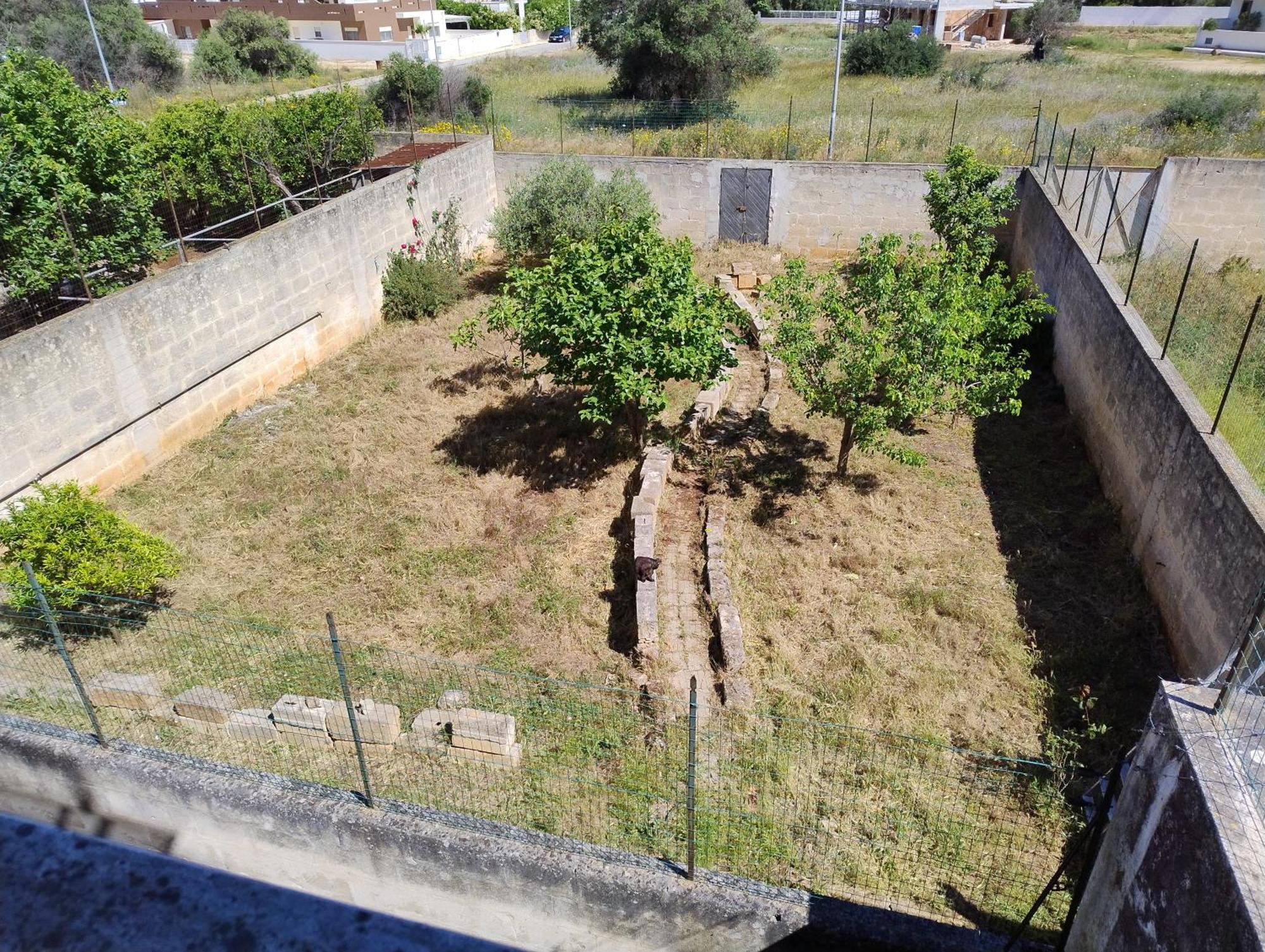 Favolosa Casa Con Terrazza, Idromassaggio, Cortile E Garage Auto Carovigno Dış mekan fotoğraf