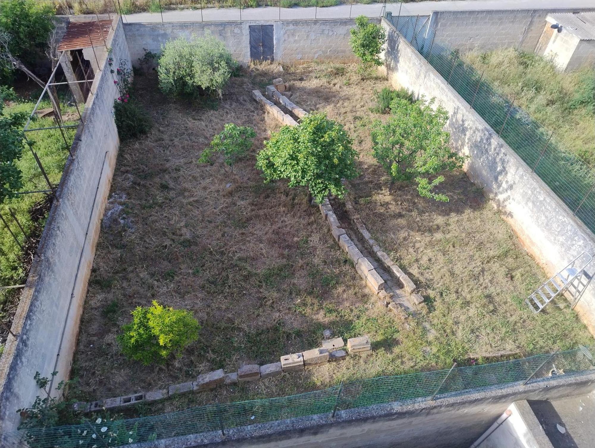 Favolosa Casa Con Terrazza, Idromassaggio, Cortile E Garage Auto Carovigno Dış mekan fotoğraf